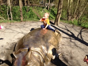 Hippo