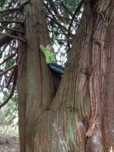 TREE4-4
