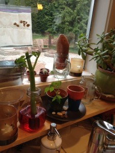 plantweek1