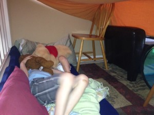 Nappinghouse1