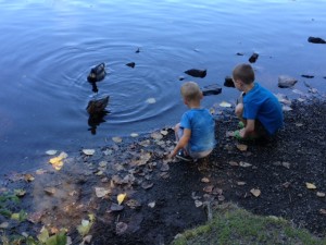 ducks234