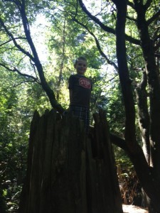 tree4-1