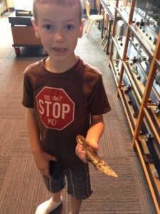 trex tooth1-1