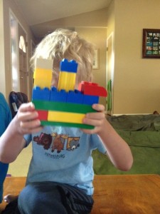 LEGO1435
